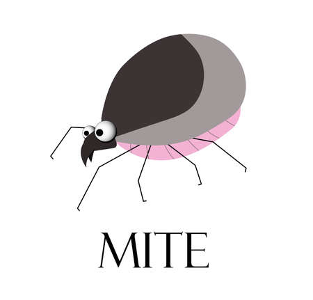 mite. Teak is a blood-sucking insect. The parasite is a tick. Summer epidemic. Lyme Disease