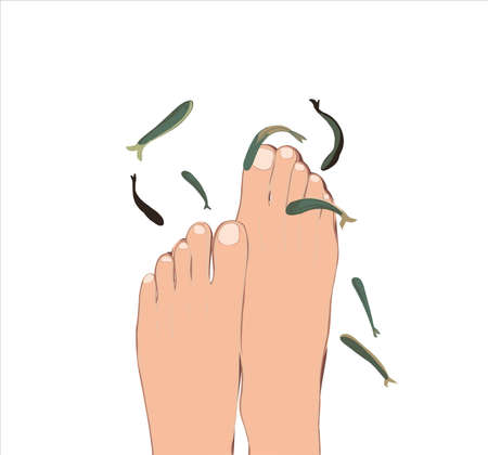 Peeling with Garra Rufa fish. pedicure in a beauty salon. Spa treatment with fish. Legs care.のイラスト素材