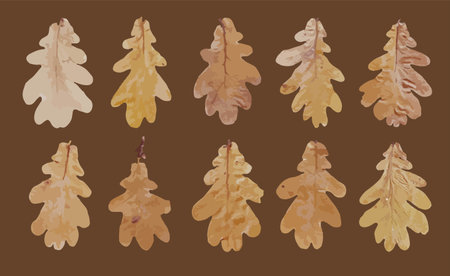 realistic autumn leaves for fabric design. texture decoration. Vector paint. Vector template collection. Nature background. Design element. Grain pattern.のイラスト素材