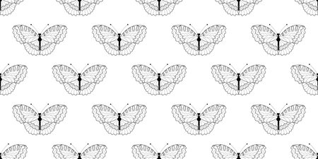 Abstract modern butterfly style for wallpaper design. Trendy japanese banner with black modern butterfly styleのイラスト素材