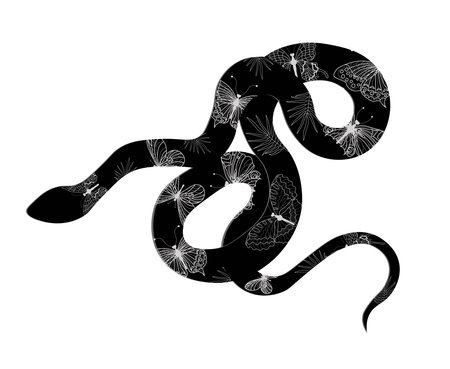 Whiplash snake or Western Whiplash snake Hierophis viridiflavus on a white panel. background. Genoa. Liguria. Italyのイラスト素材