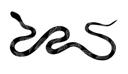 Snake, great design for any purposes.のイラスト素材