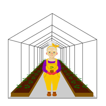 Woman near the greenhouse. Greenhouse for plants. Spring work in the garden and vegetable garden.Vector illustration.のイラスト素材
