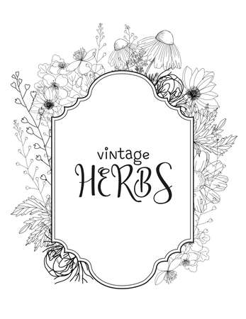 Template card with medicinal herbs.のイラスト素材