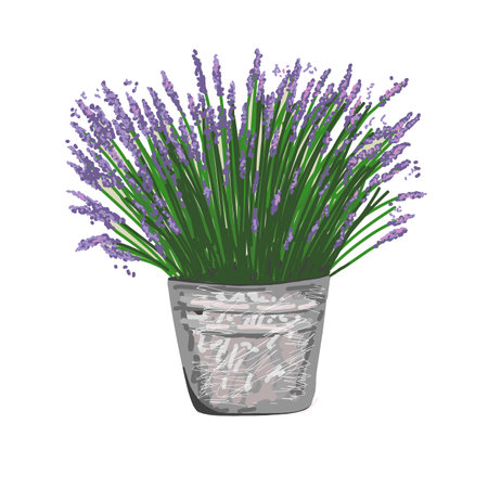 LAVENDER IN A BUCKET. STYLE PROVENCE. Vector illustration in Provence style.のイラスト素材
