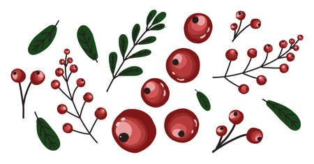 Red berries isolated on white. Cranberry. Elements for creating patterns.のイラスト素材