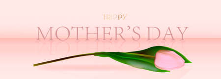 Happy mother's day elegant banner pink. Text and tulips in the background frame for Mother's Day. Best mom ever greeting cardsのイラスト素材