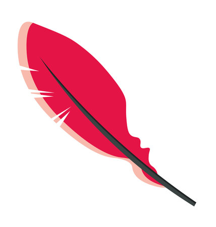 Feather pink. Vector isolated illustrationのイラスト素材