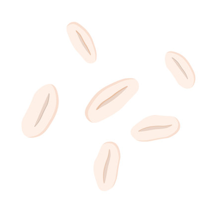 Peanut. Peanut bean isolated. nuts vector illustration isolated on white background.のイラスト素材