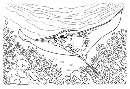 Deep sea manta ray coloring page. cartoon stingray linear illustration for coloringのイラスト素材