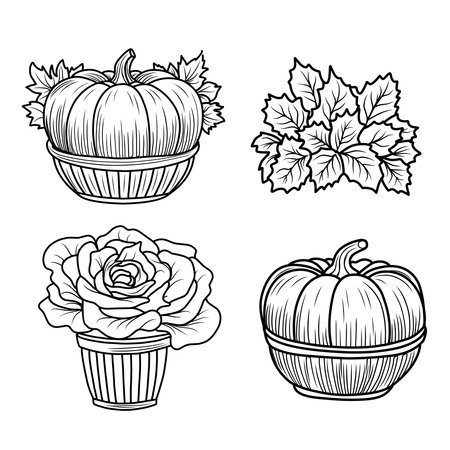 Set of autumn coloring pages with pumpkins and sunflowers.Autumn mood black and white linear illustration.のイラスト素材