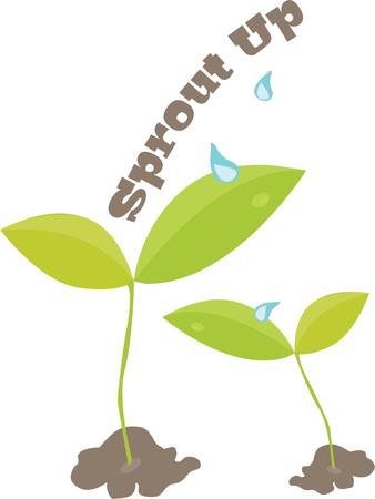 Seedlings are a nice accent for a gardener's project.のイラスト素材