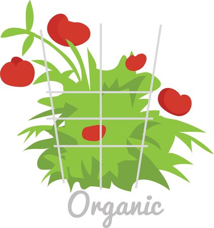 Have beautiful vegetables for your kitchen dcor.のイラスト素材