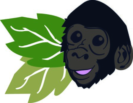 Get this mountain gorilla for your next design to remind you of the vacation to the zoo.のイラスト素材