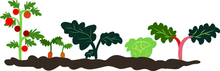 Add a beautiful vegetable garden to a work apron.のイラスト素材