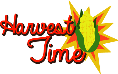 It is Harvest time with this ear of corn design. This will look great on t-shirts, aprons, banners, tote bags and more.のイラスト素材