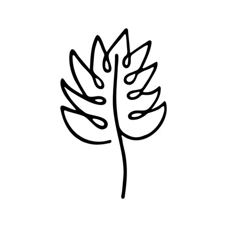 Hand drawn herbal, floral clipart. one line doodle vectorのイラスト素材