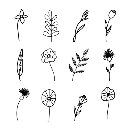 Hand drawn herbal, floral clipart collection. One line doodle vector setのイラスト素材
