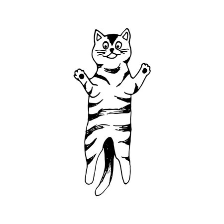 Cute hand drawn cat in jumping motion on white background. Vector adorable animals in trendy Scandinavian style. Funny, cute, hygge illustration for poster, banner, print, decoration kids playroom.のイラスト素材