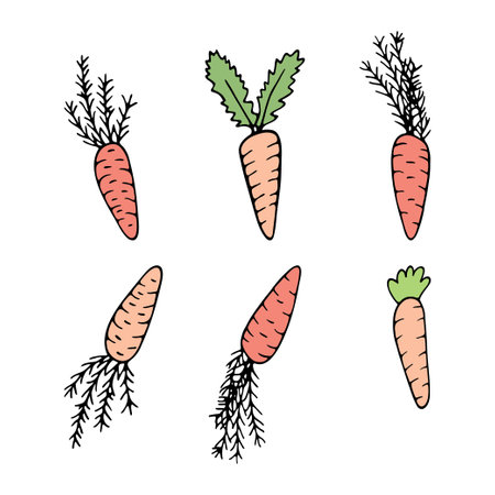Hand drawn carrot doodle for summer and spring designのイラスト素材