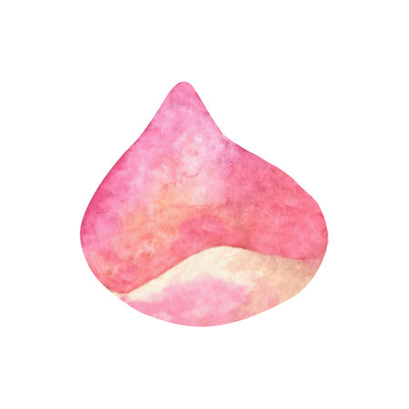 Blush pink rose petal clipart. Hand drawn watercolor illustrations.のイラスト素材