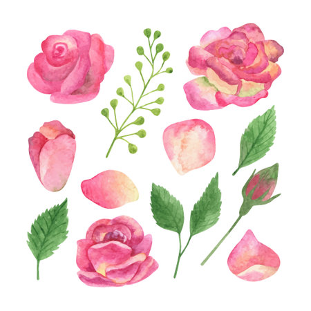 Blush pink roses and greenery clipart. Hand drawn watercolor illustrations.のイラスト素材