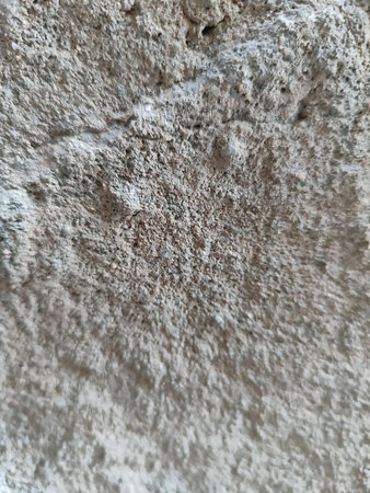 A pitted concrete wall showcasing natural grit and raw textures.の写真素材
