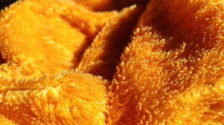 Vibrant orange velvet close up, ultra soft and perfect for blankets, towels, or home decor.の写真素材