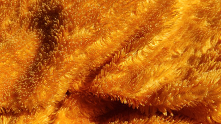 Bright yellow velvet fabric, adding a soft and luxurious touch to any interior design