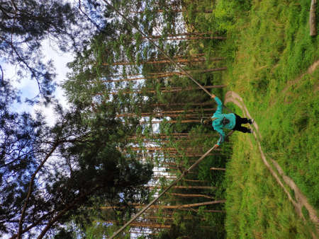 a child ride the homemade bungee in a pine forest on a Sunny dayの写真素材