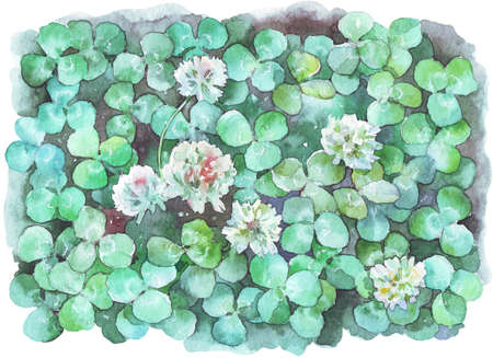 white clover field watercolor illustration hand painted