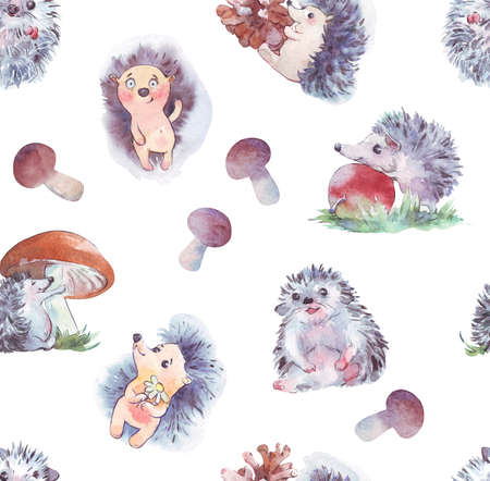 cartoon childish hedgehog pattern watercolor illustrationの写真素材