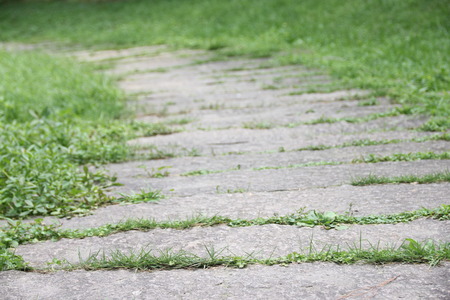 Road waiting grass green winding road direction