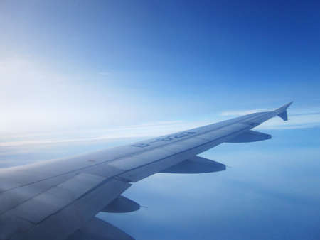 Wing of the plane