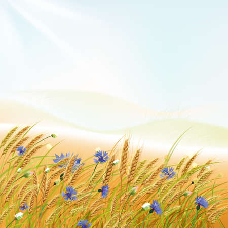 The illustration of  beautiful grass and wheat with flowersのイラスト素材