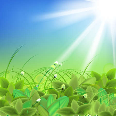 The illustration of  beautiful goose-green grassのイラスト素材