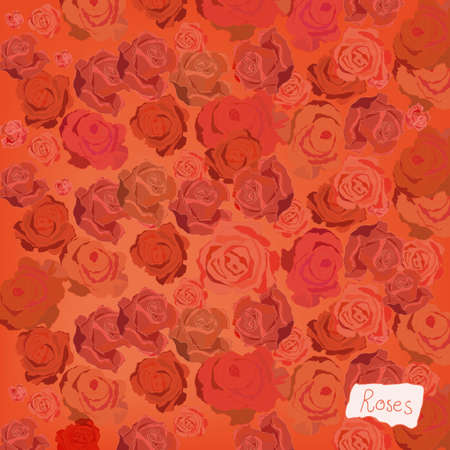 The illustration of pink rose background . Vector image.のイラスト素材