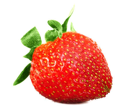 strawberry soloの写真素材