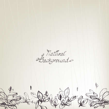 The illustration of spurge sprout. Vector image.のイラスト素材