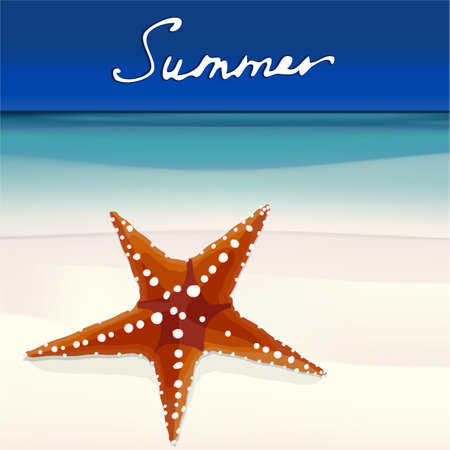 The illustration of beautiful orange starfish on the seashore. Vector image.のイラスト素材