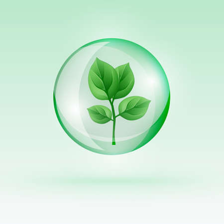 The illustration of a beautiful green sprout in a transparent bubble. Ecology Concept.
