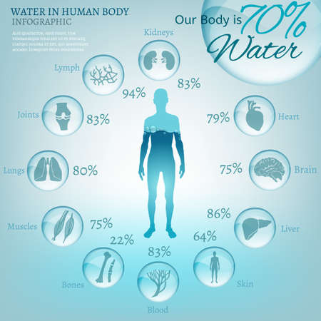 Water is the driving force of all nature. The illustration of bio infographics with human body organs icons in transparent style. Ecology and biochemistry concept. Drink more water. Vector image.のイラスト素材