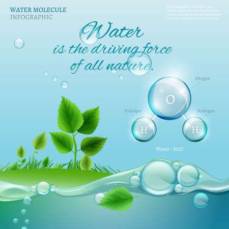 Water is the driving force of all nature. The illustration of bio infographics with water molecule in transparent style. Ecology and biochemistry concept. Natural concept with typography quotation.のイラスト素材