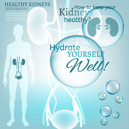 Water is the driving force of all nature. Vector illustration of bio infographics with human body organs icons in transparent style. Medicine and biochemistry concept. Keep your kidneys healthyのイラスト素材
