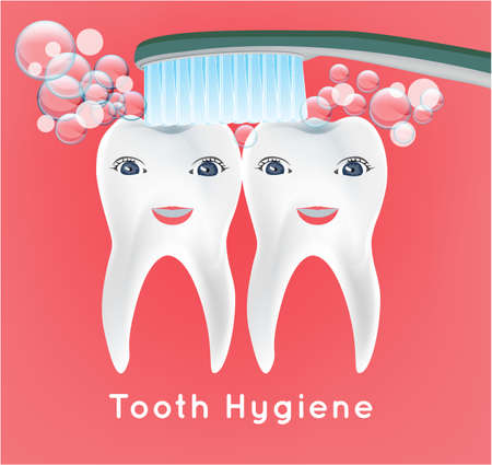 Baby preliminary teeth vector illustration. Editable isolated image on a pink background. Tooth character with a cute smiling face. Children teeth infographic.のイラスト素材