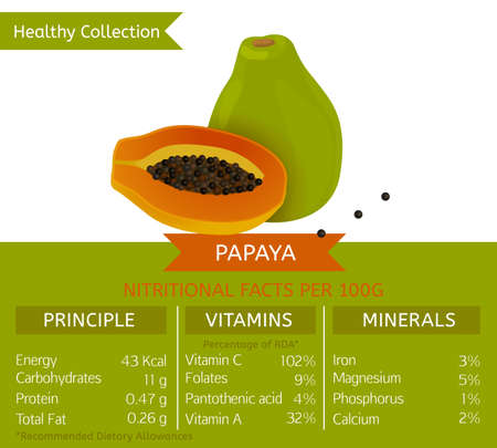 Papaya health benefits. Vector illustration with useful nutritional facts. Essential vitamins and minerals in healthy food. Medical, healthcare and dietory concept.のイラスト素材
