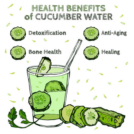 Cucumber Benefits Imageのイラスト素材