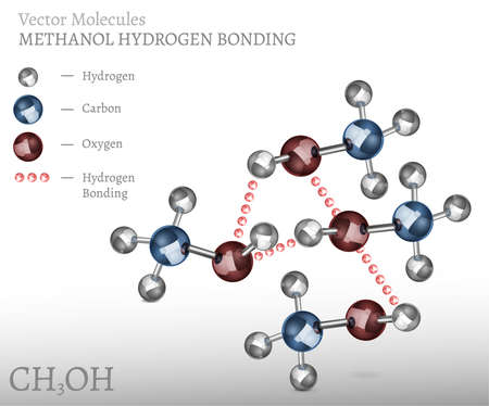 Methanol Molecule Bondingのイラスト素材