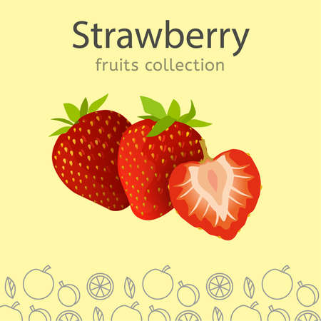 Fruits Collection Imageのイラスト素材