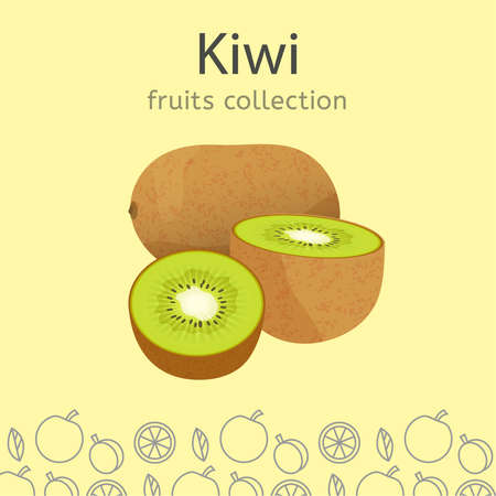 Fruits Collection Imageのイラスト素材